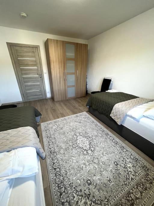 Familienwohnung Naehe Europapark, Messe, Gifiz See Offenburg Exteriör bild